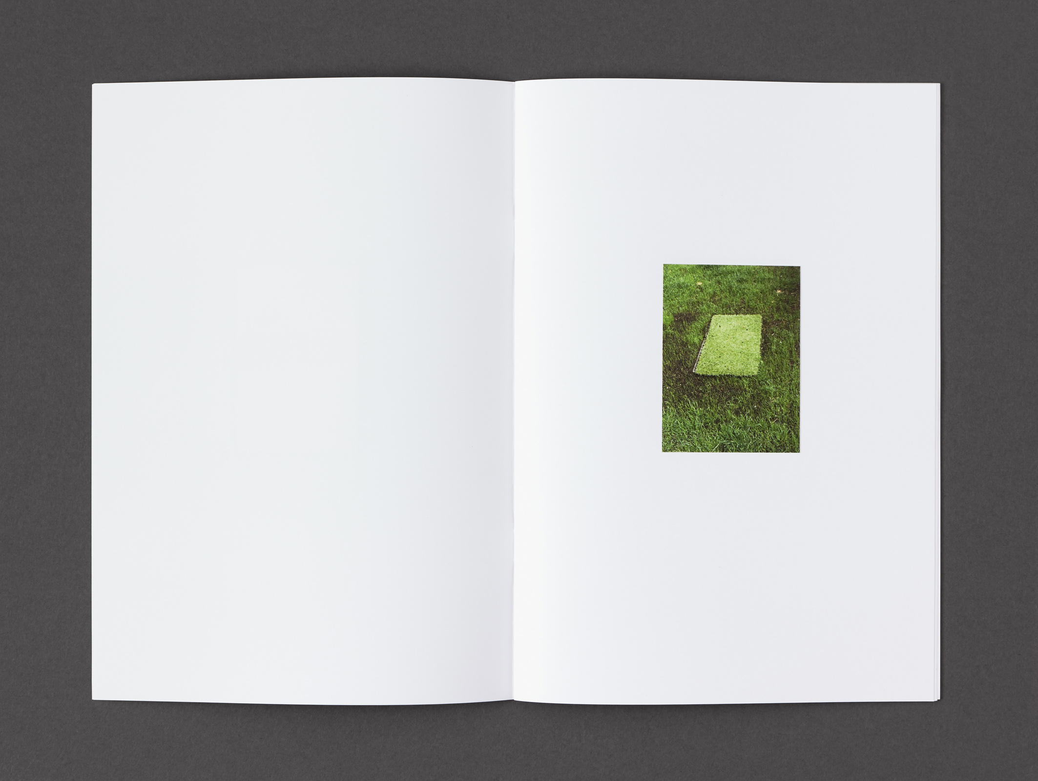 Elizabeth Newman   Whereof One Cannot Speak 02